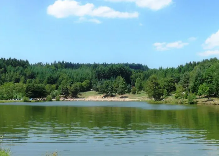 Mobil-home 4 Pers, 2 Ch, Jardin Et Barbecue - Api-1-52-1349 Champagnac-le-Vieux