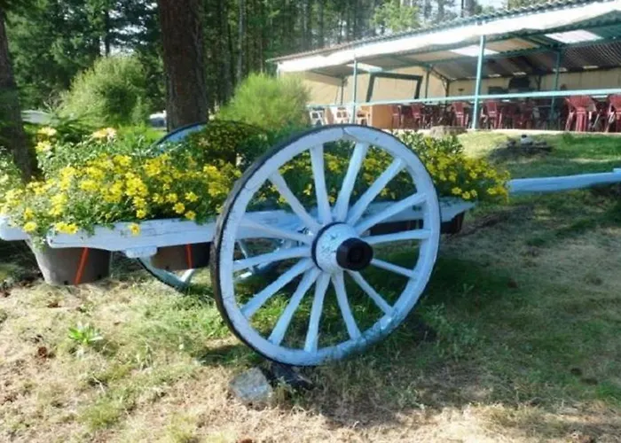 Mobil-home 4 Pers, 2 Ch, Jardin Et Barbecue - Api-1-52-1349 Campsite *